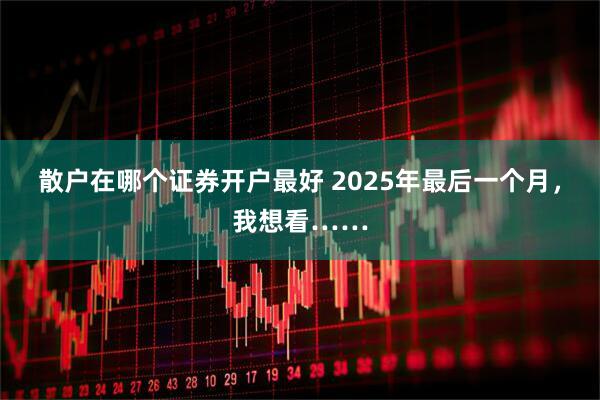 散户在哪个证券开户最好 2025年最后一个月，我想看……